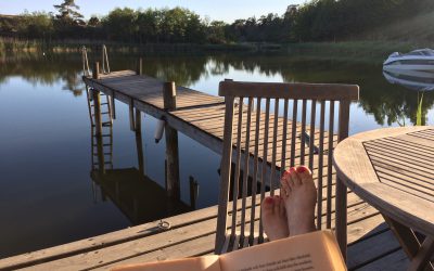 Yleistajuistamisen ylistys