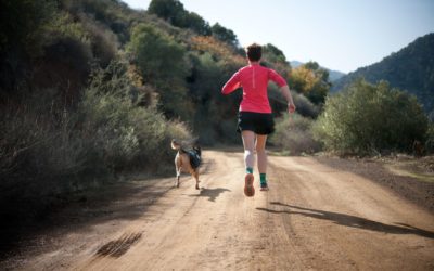 Toisen kirjan tuska ja ihanuus – Kirsikka Myllyrinne kirjoitti tietokirjan juoksemisesta antiikin maisemissa